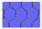 Hexagonal Wire Mesh